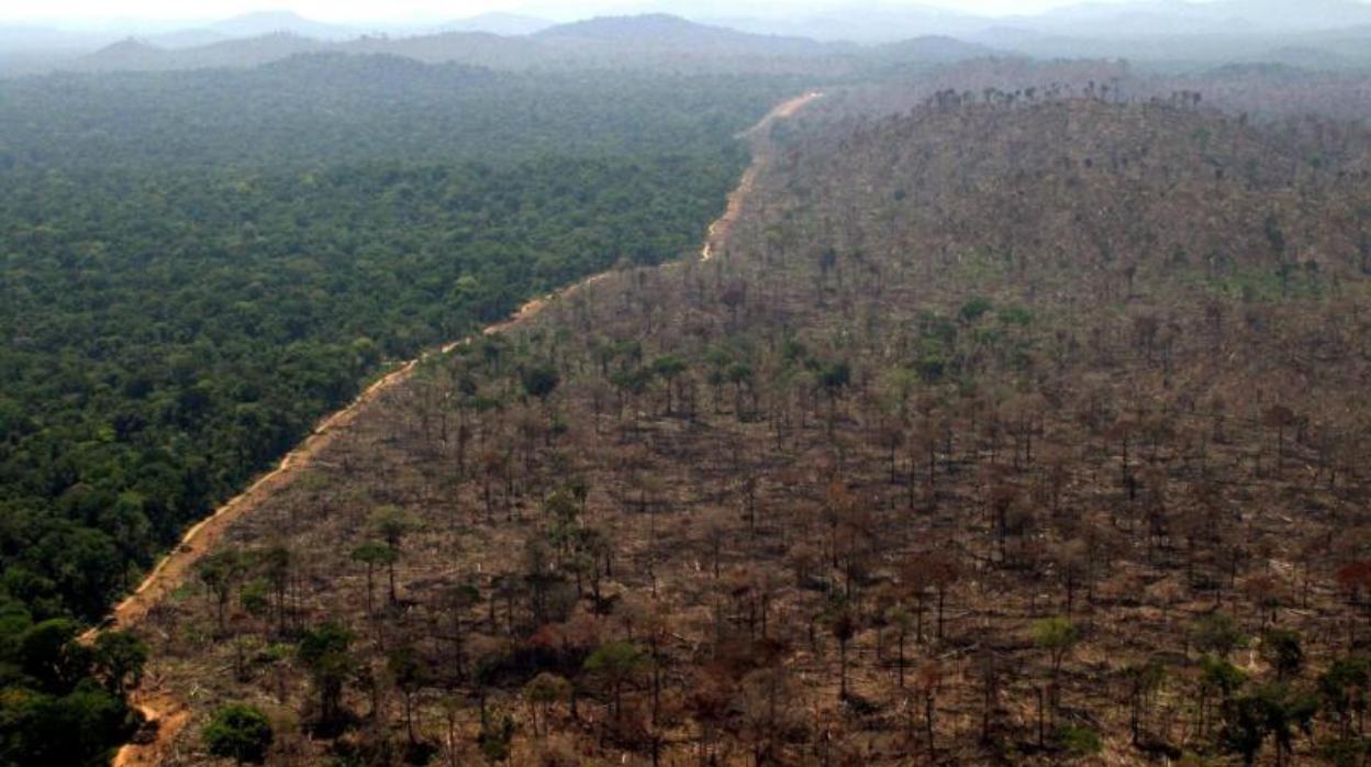 Imagen de archivo de la selva amazónica en 2004