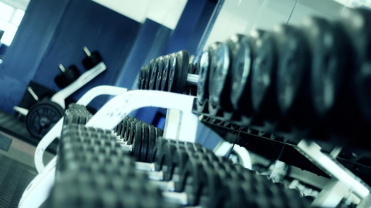 Fotografía de recurso de pesas en un gimnasio