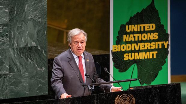 La ONU avierte que la pandemia del coronavirus amenaza los progresos en igualdad de género