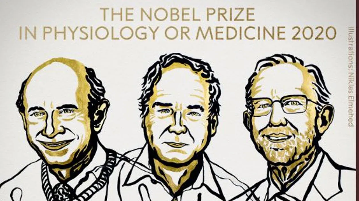 Harvey J Alter Michael Houghton Y Charles M Rice Premio Nobel De Medicina Por El