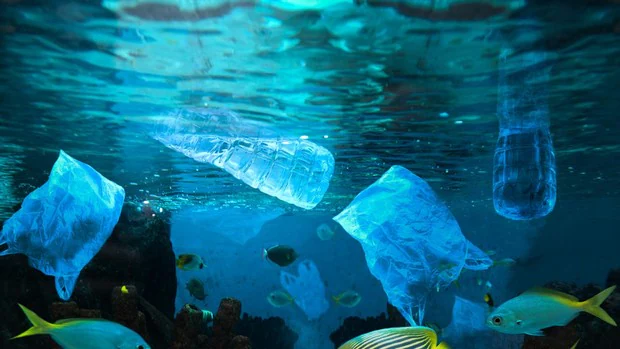 Canadá prohibirá el uso de varios productos hechos con plástico de un solo uso a partir de 2021