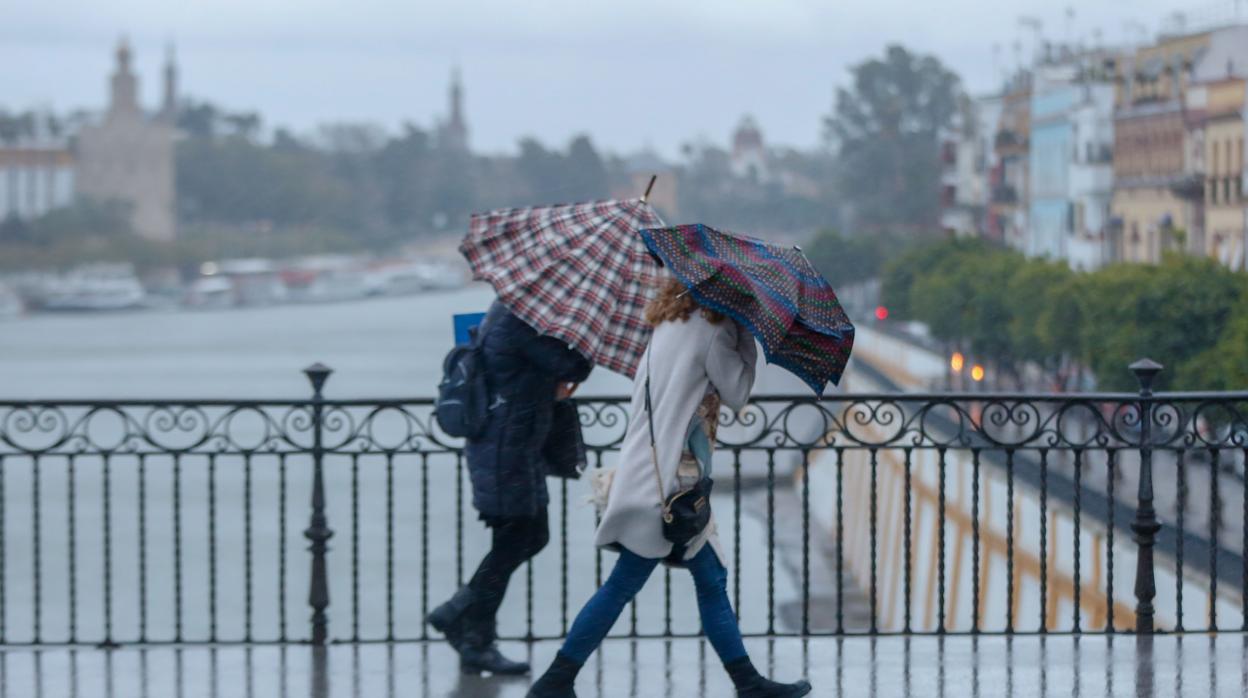 El viento predominará con rachas de 80 km/h en amplias zonas de la Península , según prevé AEMET