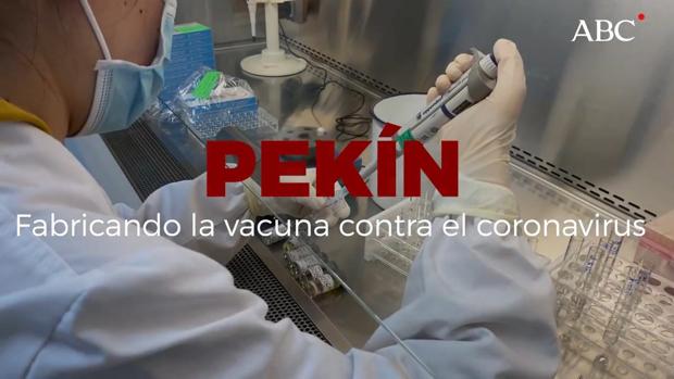 Dentro de la fábrica china de la esperanza contra el coronavirus