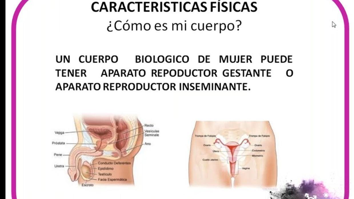 El feminismo socialista se enfrenta a Irene Montero por «borrar el sexo» en todas sus leyes