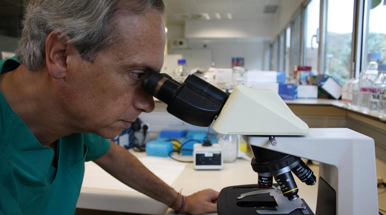 Dr. Clotet en el laboratorio de IrsiCaixa