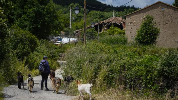 La España vaciada es la España cosmopolita: el 10% de la población rural ha nacido en el extranjero