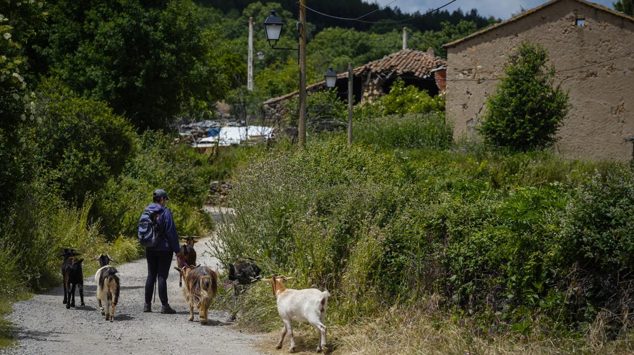 La España vaciada es la España cosmopolita: el 10% de la población rural ha nacido en el extranjero