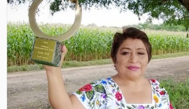 Leydy Pech, la «guardiana de las abejas» contra los transgénicos