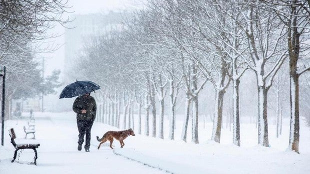 AEMET alerta del peligro de Filomena: nevadas históricas, fuertes lluvias, oleaje y rachas de viento huracanadas