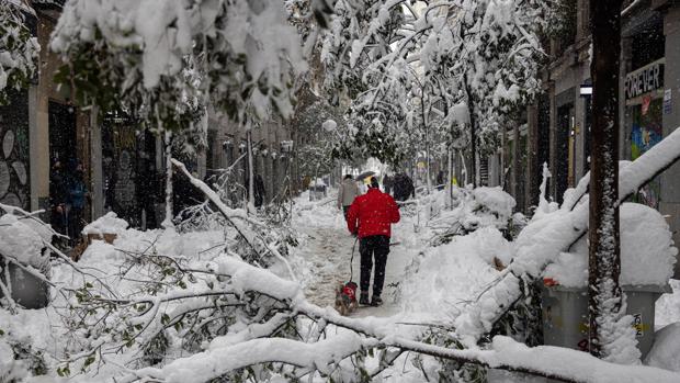 Consejos para sobrevivir a Filomena, la nevada del siglo