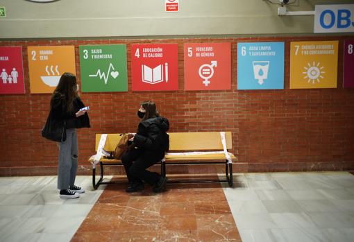 ¿Se han cumplido los protocolos anti Covid en las universidades?