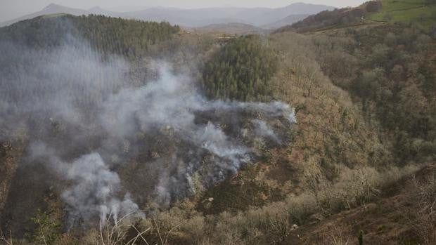 El incendio originado en Navarra que calcinó 400 hectáreas en Guipúzcoa ya está apagado