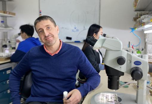 Pastor, doctor en Biología Genética, estudia el ADN de las moscas para sus aplicaciones médicas en los humanos, en la prestigiosa Universidad de Tsinghua, en Pekín