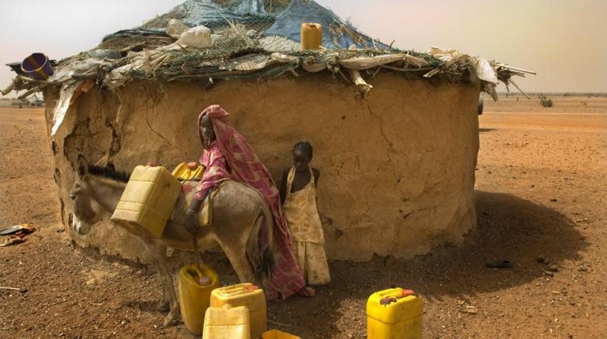 Una mujer transporta agua en burro en la región del río Gorgol, al sur de Mauritania