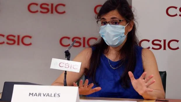 El CSIC diseña un test serológico que diferencia a las personas vacunadas de las que han padecido el Covid