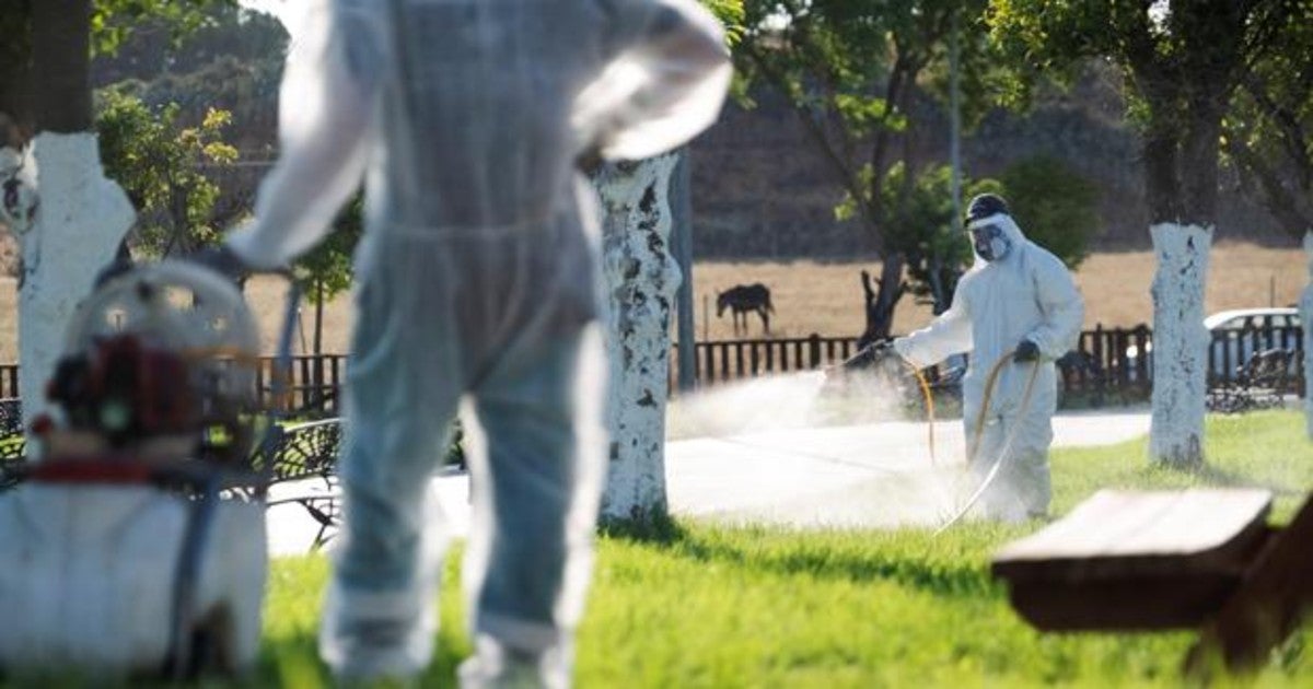 Un operario fumiga unos jardines en La Puebla del Río en un intento del Ayuntamiento por detener al virus del Nilo el pasado mes de agosto