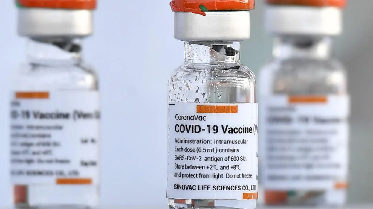 Vial de la vacuna aprobada por la OMS y desarrollada por Sinovac, CoronaVac