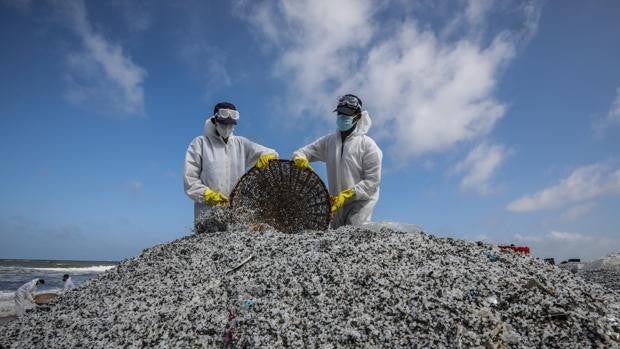 Trabajos a contrarreloj en Sri Lanka para evitar un desastre ambiental por los vertidos del barco hundido
