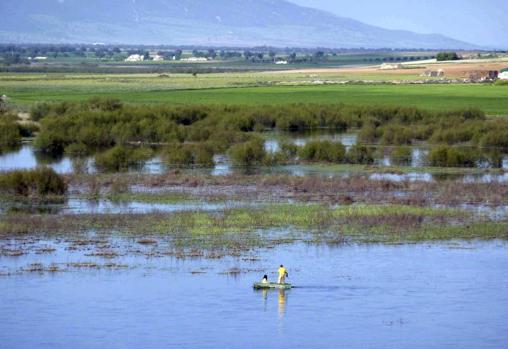 Río Guadiana, a su paso por Castilla-La Mancha