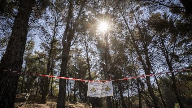 Zona cortada al paso por riesgo de accidente en Los Cerros, Alcalá de Henares