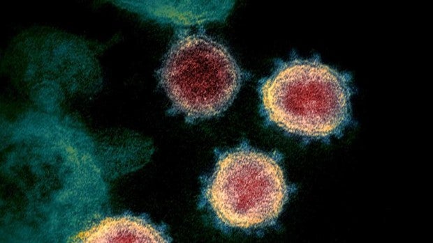 Las 2.000 mutaciones del coronavirus