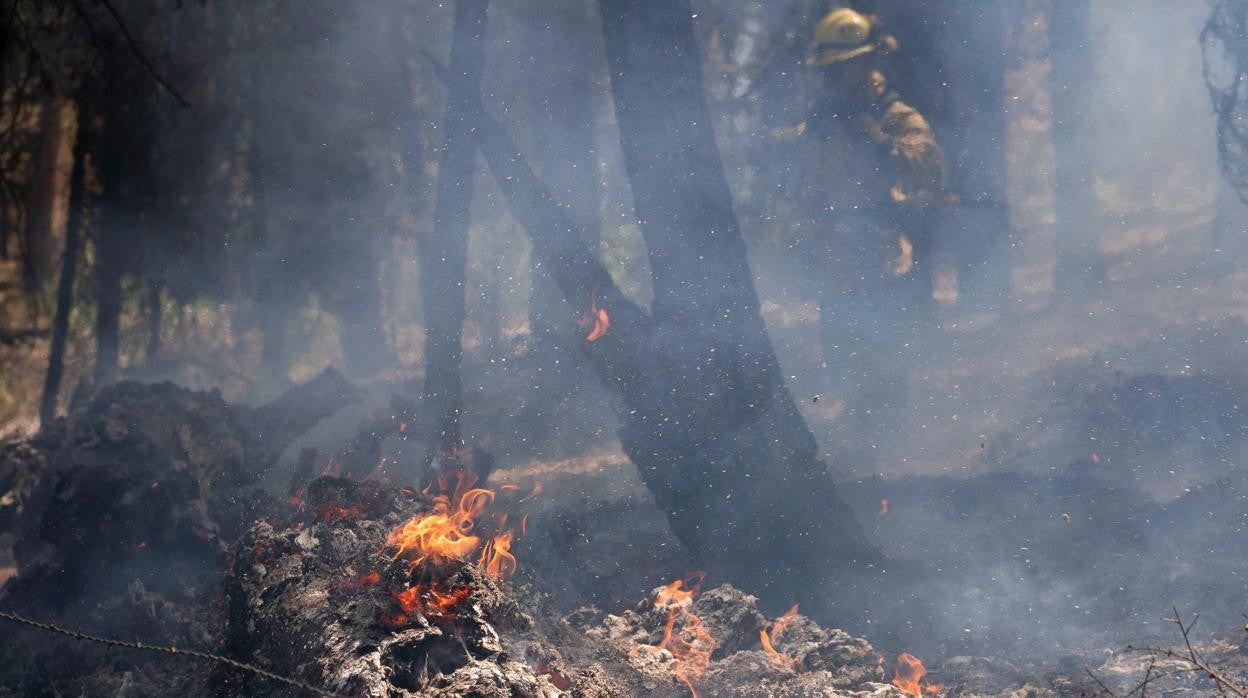 Incendios en Oregón (Estados Unidos)