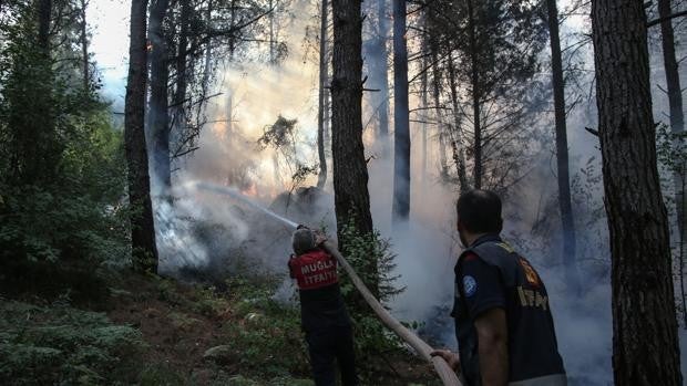 Erdogan declara el estado de desastre en las regiones de Turquía afectadas por los incendios forestales