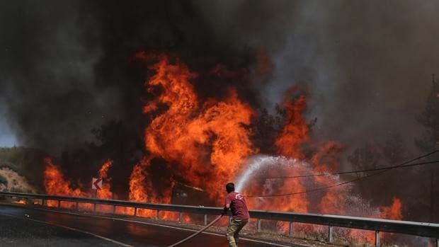 Las altas temperaturas hacen arder varios países mediterráneos