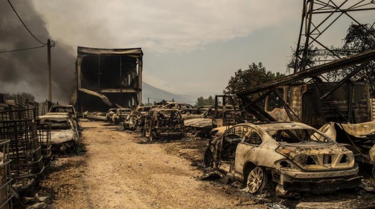 Coches calcinados en Afidnas, un pueblo de la región del Ática, situado a 27 km. al norte de Atenas