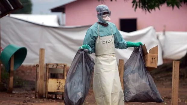La OMS vigila el brote del virus de Marburgo en Guinea
