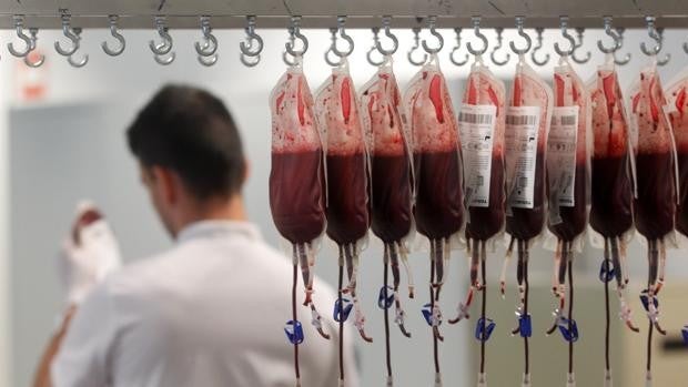 Los hombres homosexuales podrán donar sangre desde octubre en Israel