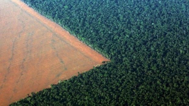 Brasil, la principal reserva hídrica del mundo, ha perdido el 16% de sus áreas cubiertas de agua dulce en 30 años