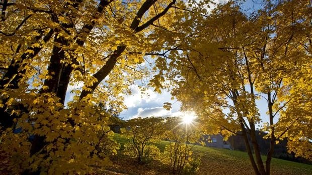 Cuándo empieza el otoño