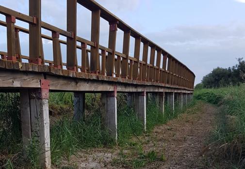 Lanzan un SOS por la escasez de agua en las Tablas de Daimiel