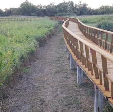 Lanzan un SOS por la escasez de agua en las Tablas de Daimiel