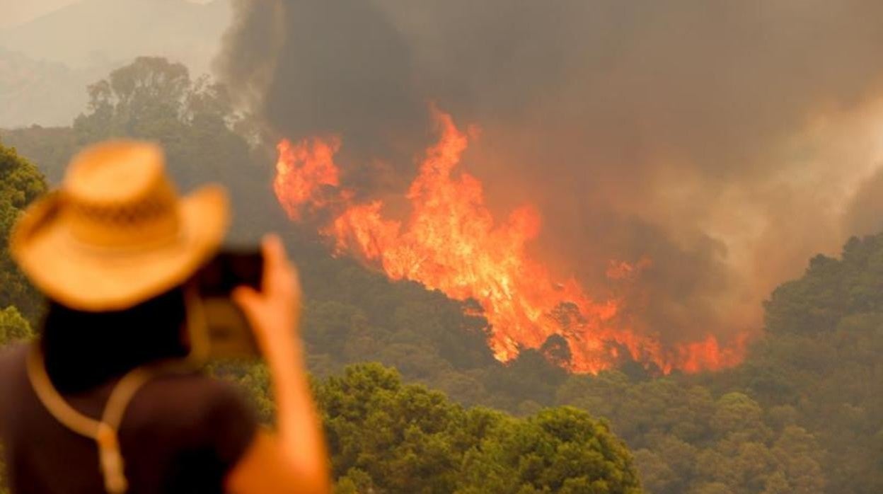 Controlado el incendio forestal de Sierra Bermeja gracias a la lluvia