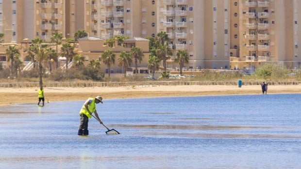 Los vertidos al mar Menor persisten tres semanas después de la visita de Teresa Ribera