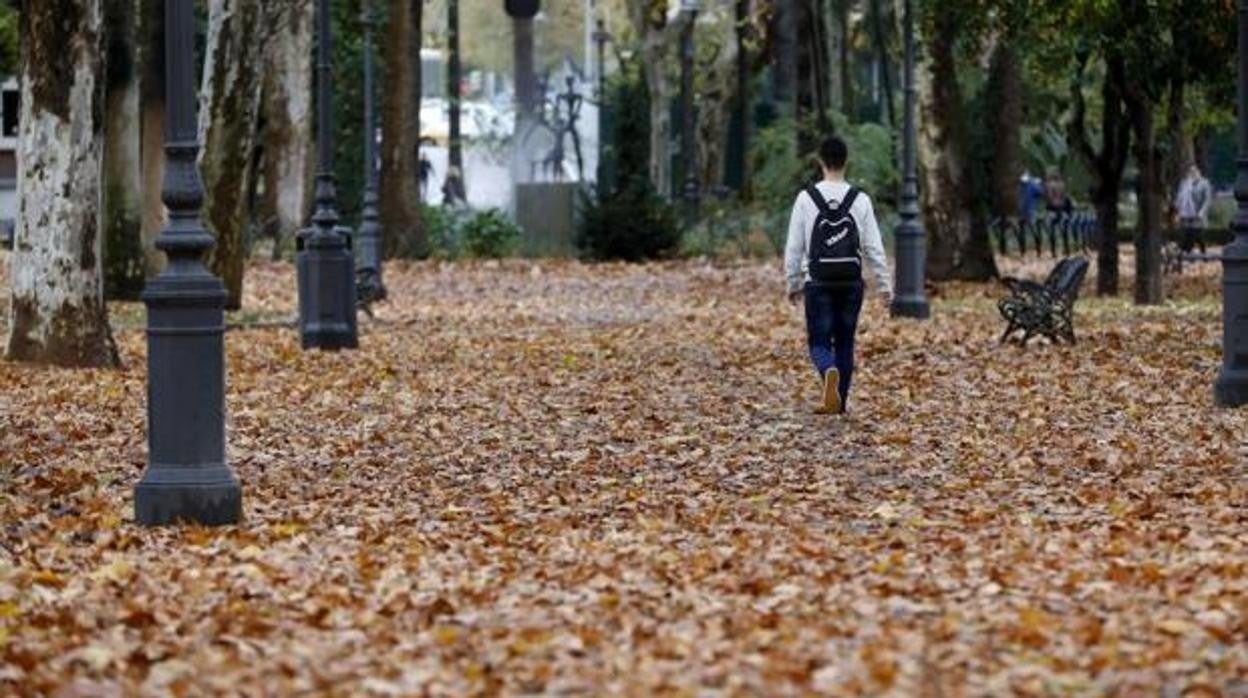 El otoño será más cálido y seco de lo normal en toda España