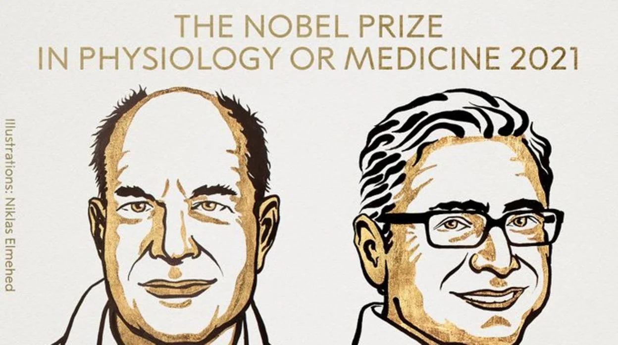 David Julius y Ardem Patapoutian, premio Nobel de Medicina 2021 por los receptores del dolor