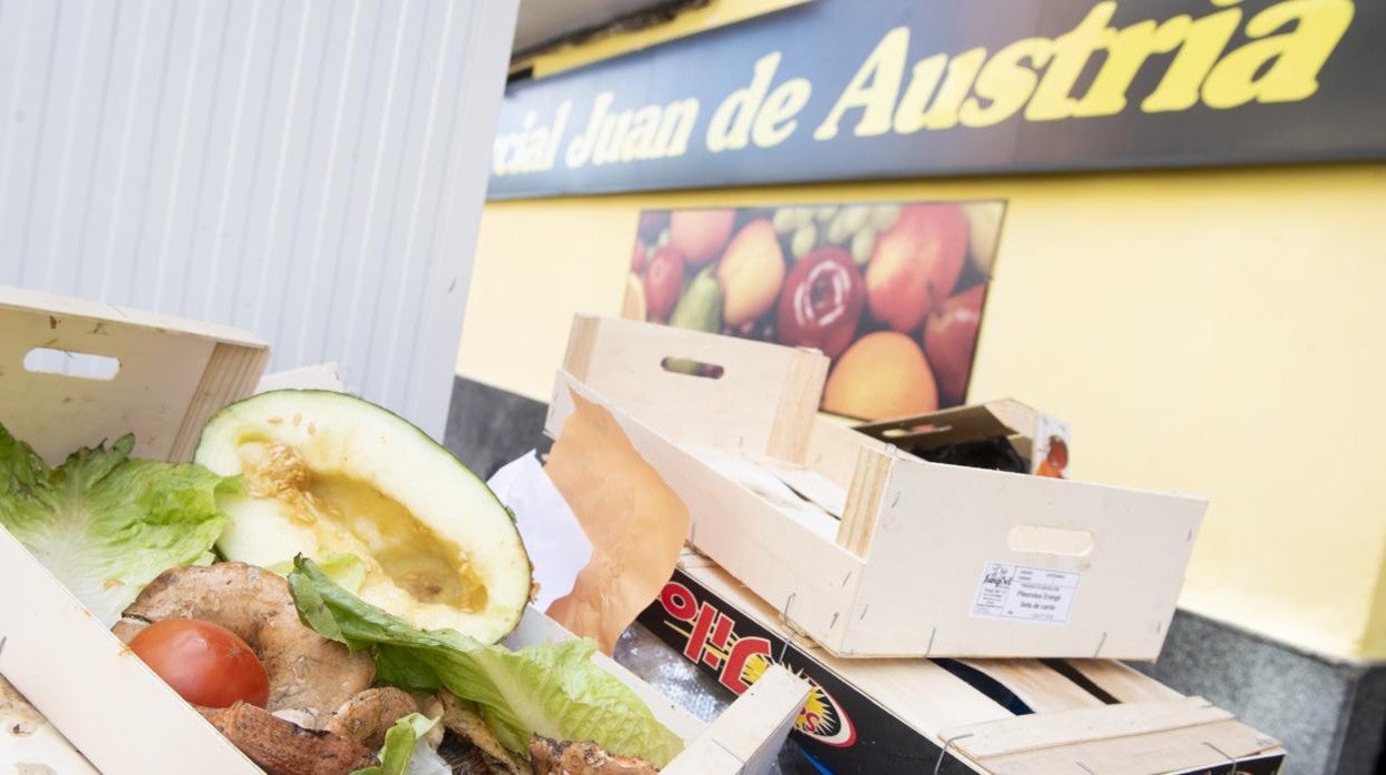 Desperdicios alimentarios de una empresa de Alcalá de Henares’