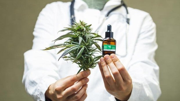 España se abre al debate sobre la legalización del cannabis con la izquierda dividida