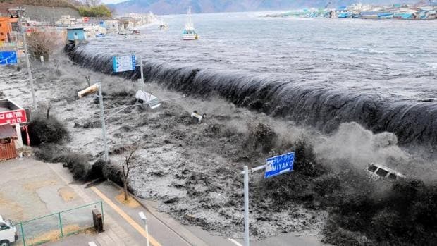 Resguardarse en altura o vigilar el nivel del mar: las recomendaciones para escapar con vida de un tsunami