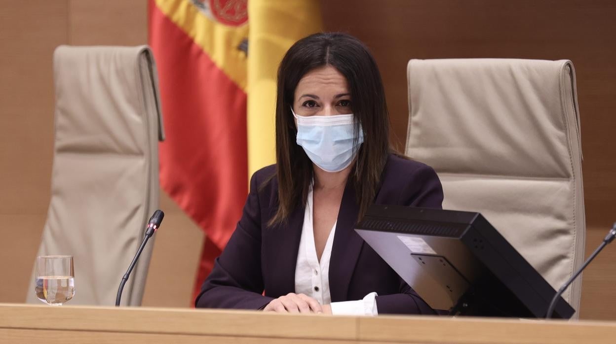 La secretaria de Estado de Sanidad, Silvia Cazón, en la Comisión de Sanidad y Consumo en el Congreso de los Diputados