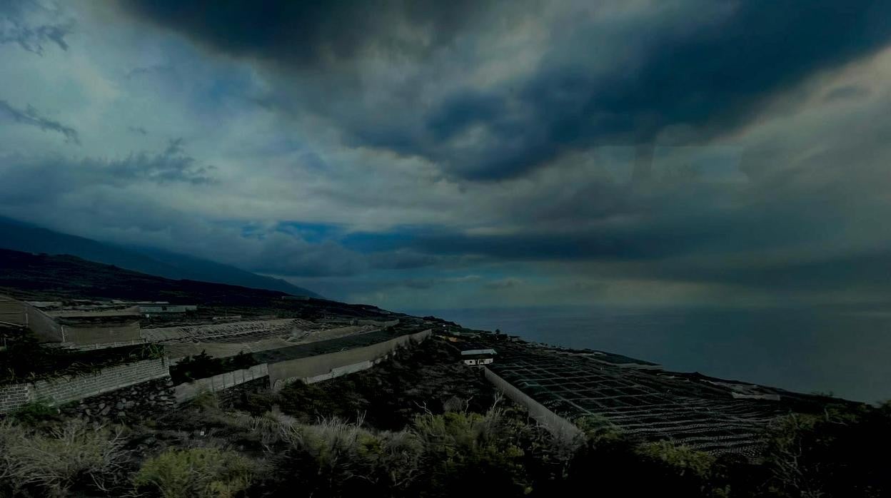 Pltataneras destrozadas en la zona de exclusión del volcán de Cumre Vieja, en La Palma