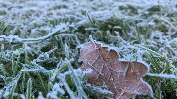 Las heladas mantendrán este lunes a 19 provincias en riesgo con temperaturas mínimas de hasta -8ºC