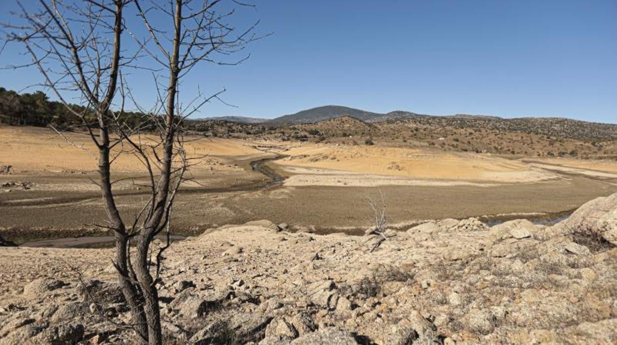 Sequía que afecta a la zona sur de Ávila