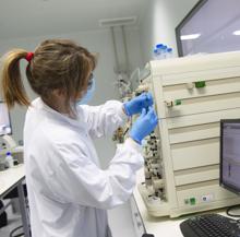 Segundo paso: preparación de la muestra