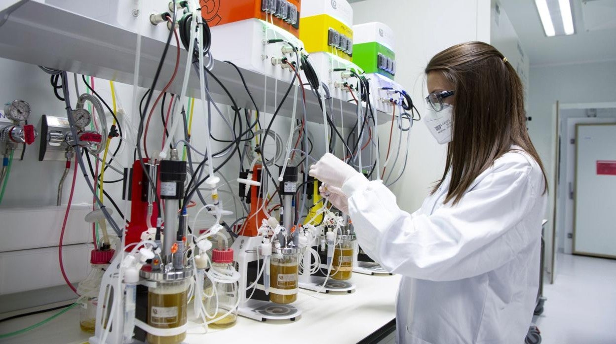 Primer paso: se prepara el cultivo. En la primera fas de elaboración de la vacuna se prepara el cultivo, compuesto por células que producen o expresan el antígeno o la proteína que se quiere conseguir