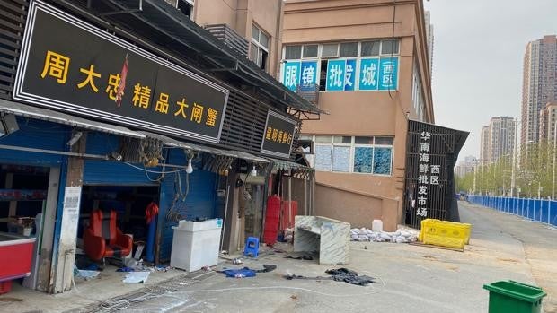 La OMS pide suspender la venta de mamíferos salvajes vivos en mercados de alimentos como «medida de emergencia»