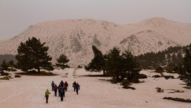 Los beneficios de la calima: de fertilizante para el campo a alimento en los caladeros